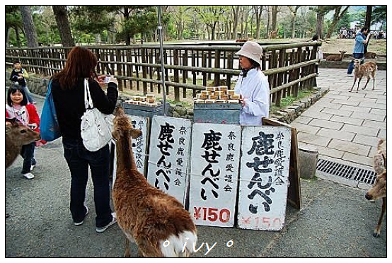 奈良公園