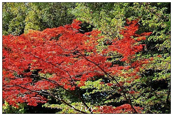 平安神宮