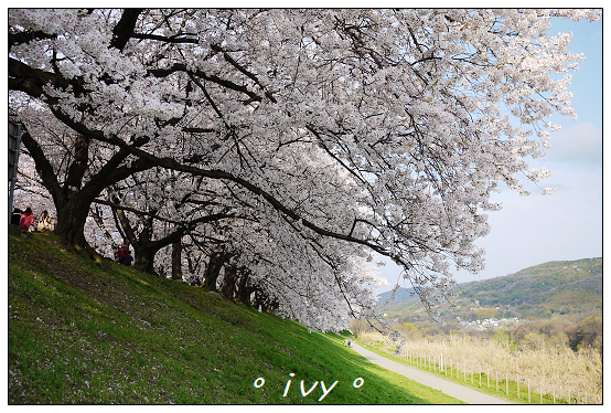 淀川河川公園