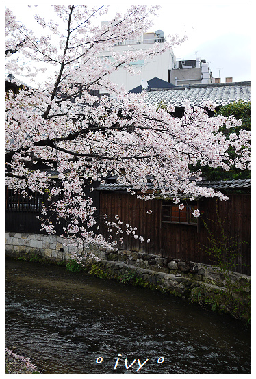 祇園白川南通