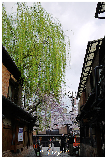 祇園白川南通