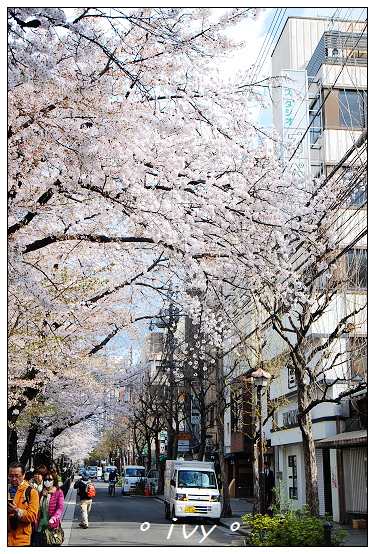 木屋町高瀨川