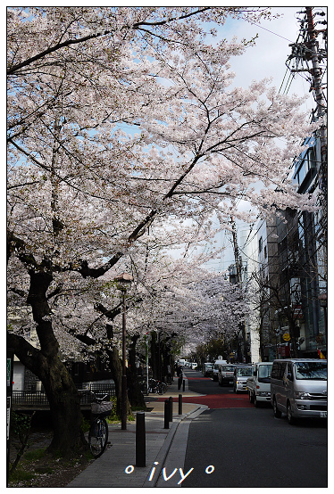 木屋町高瀨川