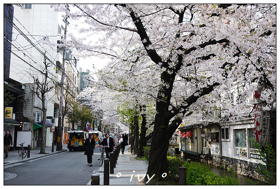 木屋町高瀨川