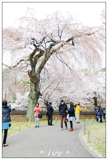 醍醐寺