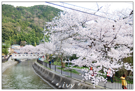 山科疏水