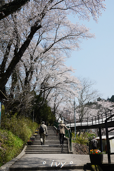 宇佗大野寺