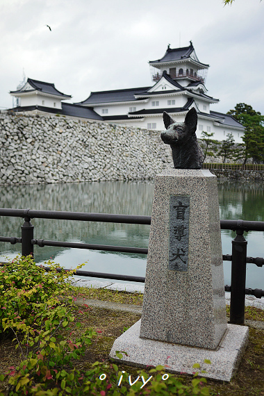 富山城址公園