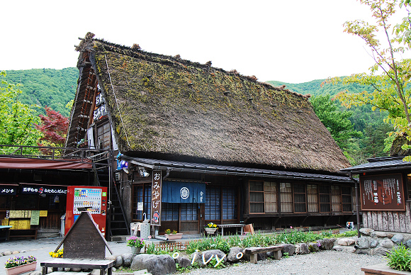 白川鄉合掌村