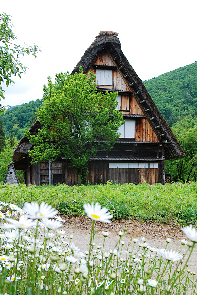 白川鄉民家園