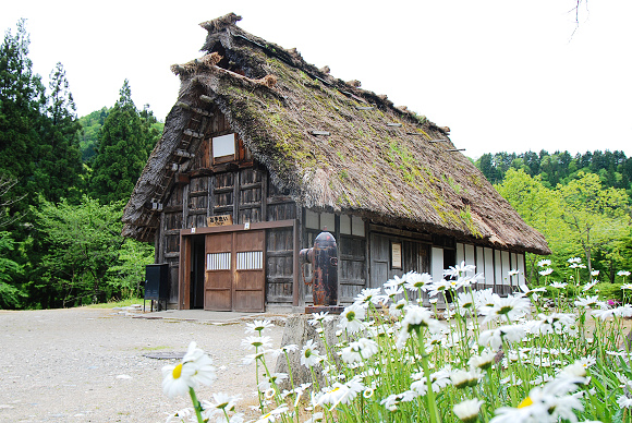 白川鄉民家園