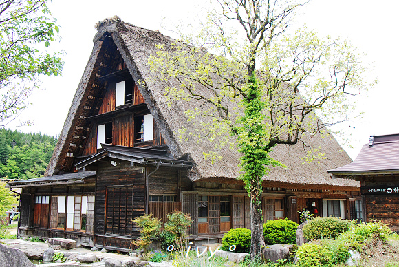 白川鄉合掌村