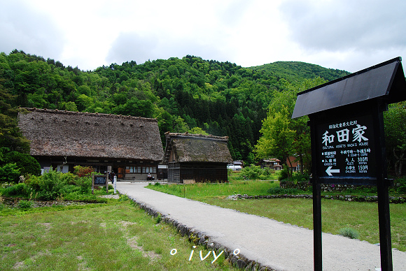 白川鄉合掌村