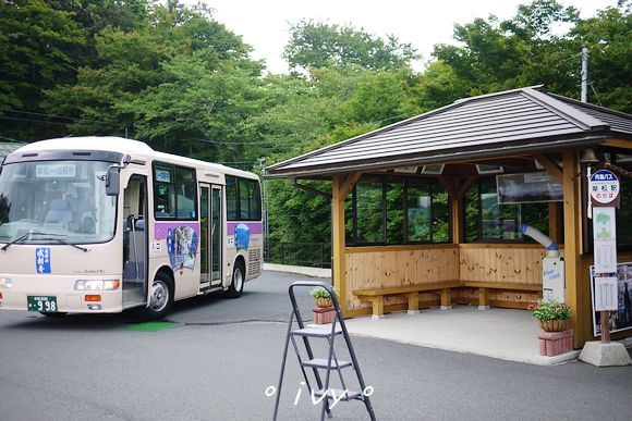 天橋立傘松公園