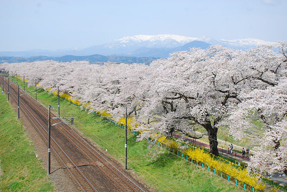 DSC_6807.jpg DSC_6807.jpg