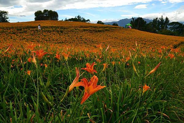 815赤科山林家園 (20).jpg