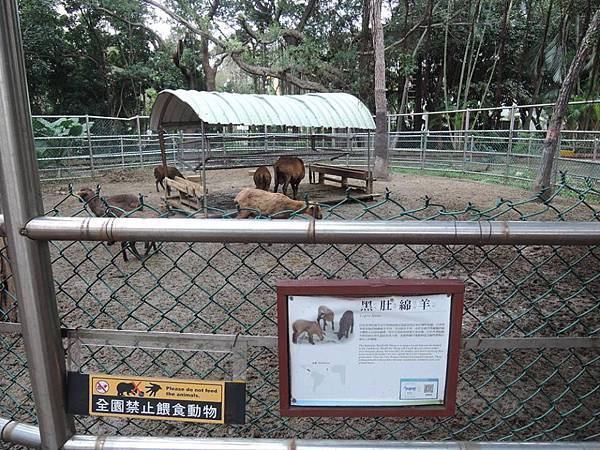 新竹市立動物7.jpg