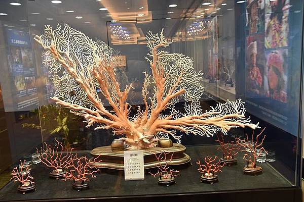 綺麗珊瑚博物館5.jpg