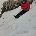 212合歡山追雪.jpg