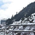 212合歡山追雪35.jpg