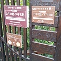 巴陵步道5.jpg