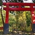 達卡努瓦神社5.jpg