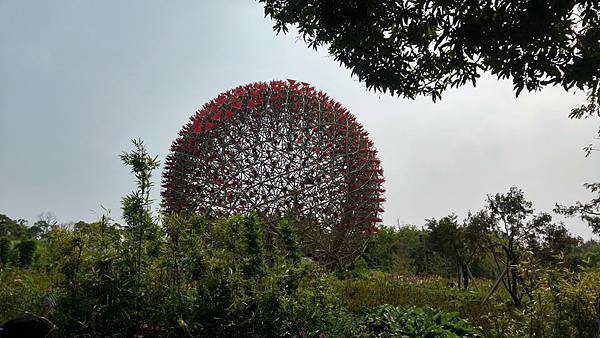 花57.jpg