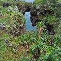 7-7-萬座毛-5.jpg