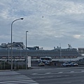 7-8-早上-3.jpg