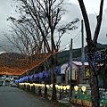 金崙火車站-2.jpg
