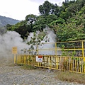 金崙溫泉公園.jpg