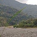 金崙溫泉公園-4.jpg