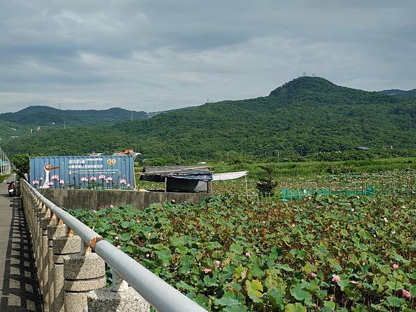 金山小鶴-6.jpg