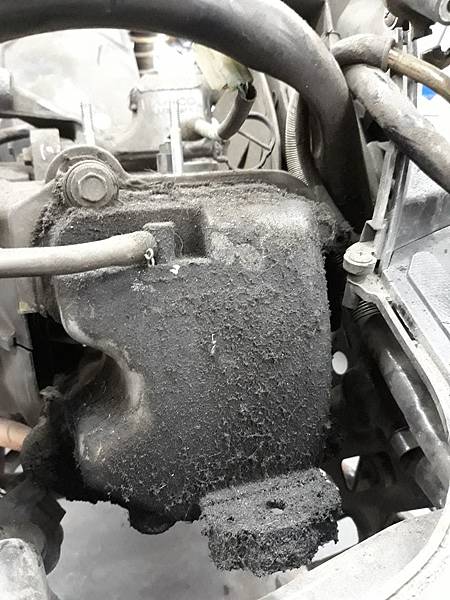 20171120_170533.jpg 20171120_170533.jpg