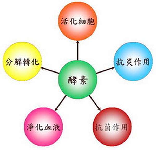 Usana Digestive Enzyme 消化酵素 Ivy3695的部落格 痞客邦 Usana Digestive Enzyme 消化酵素 Ivy3695的部落格 痞客邦