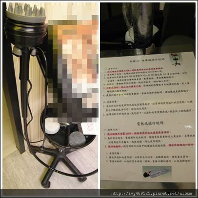 cats6.jpg 試用