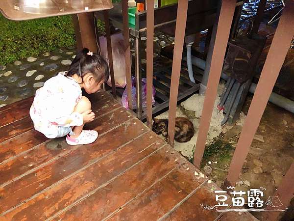 新竹尖石鄉舒活露營區x小豆苗no 9 小而美放手去吧野孩子 小豆苗露營趣 痞客邦