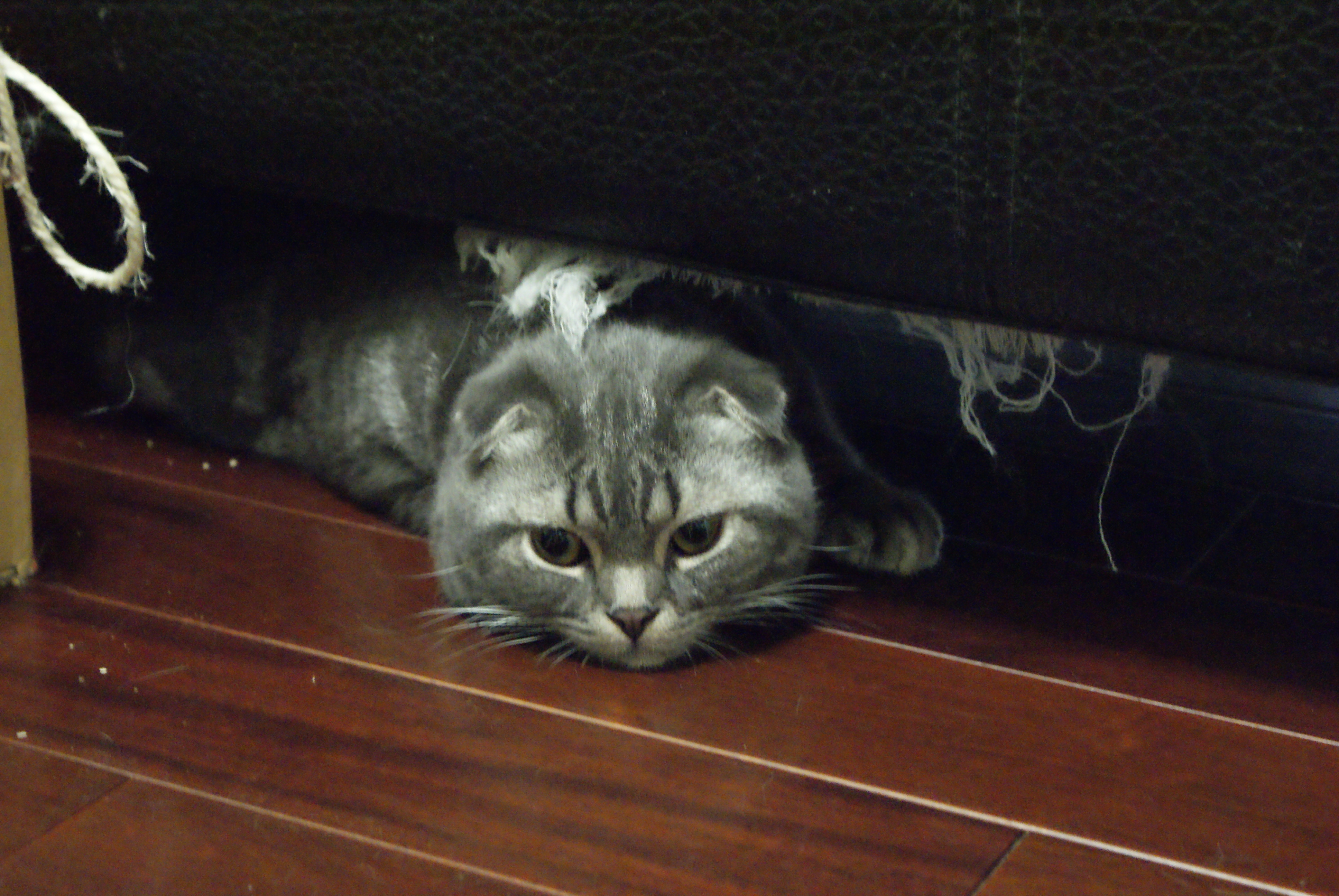 DSC00456.JPG DSC00456.JPG