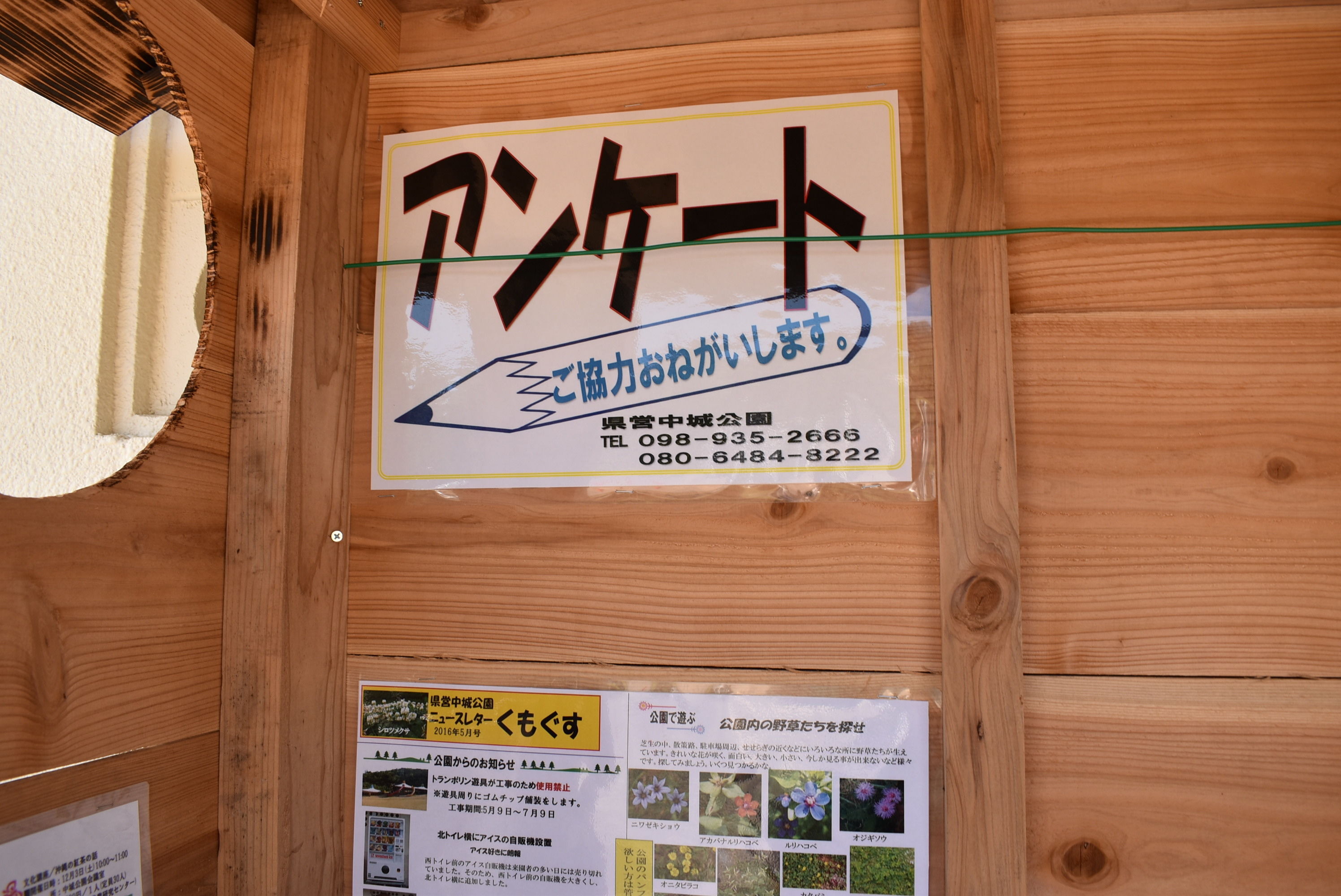 DSC_0397.JPG DSC_0397.JPG