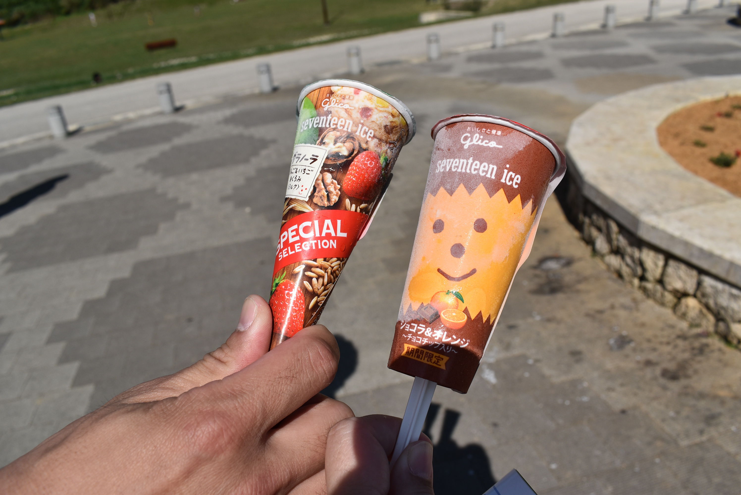 DSC_0408.JPG DSC_0408.JPG