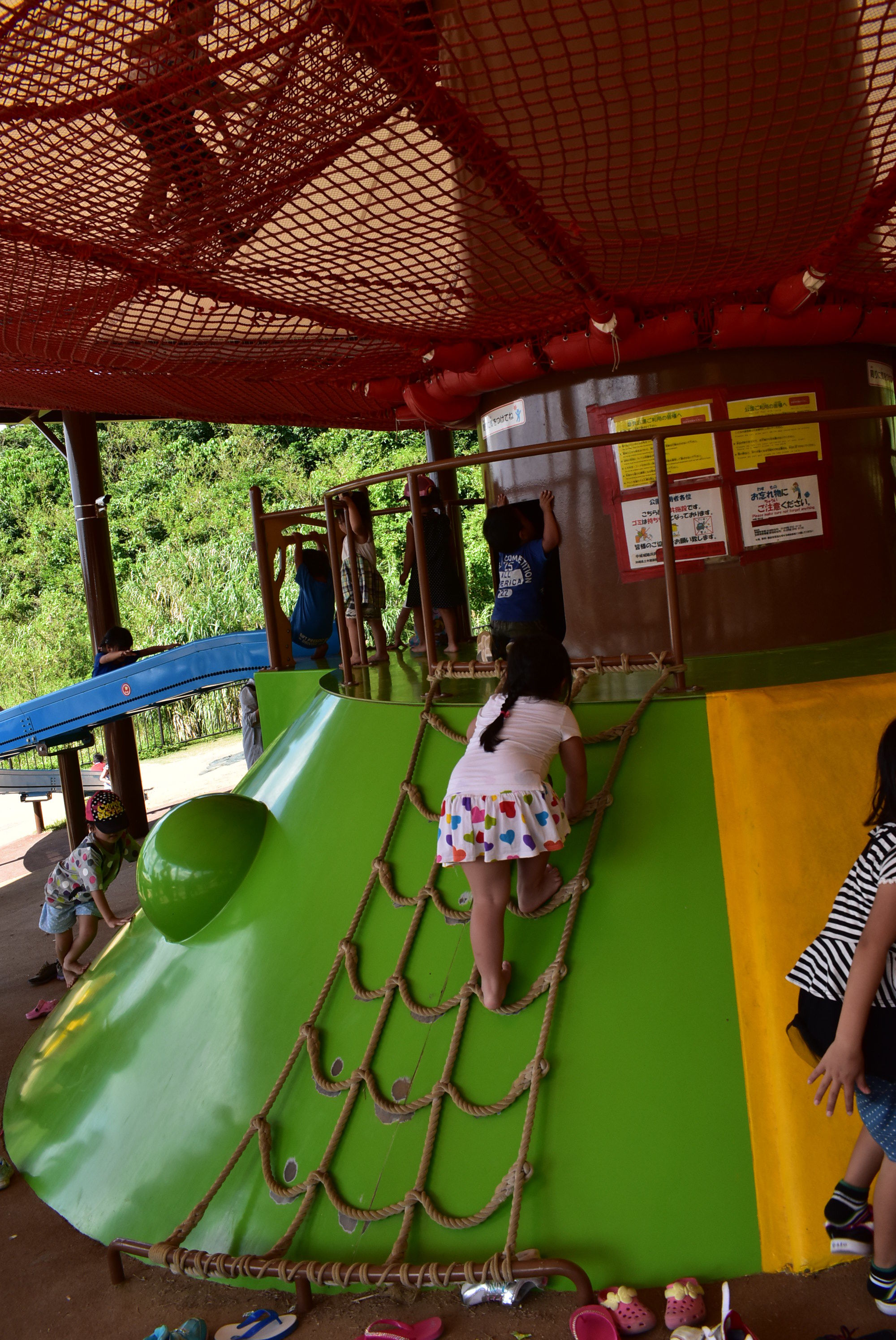 DSC_0416.JPG DSC_0416.JPG