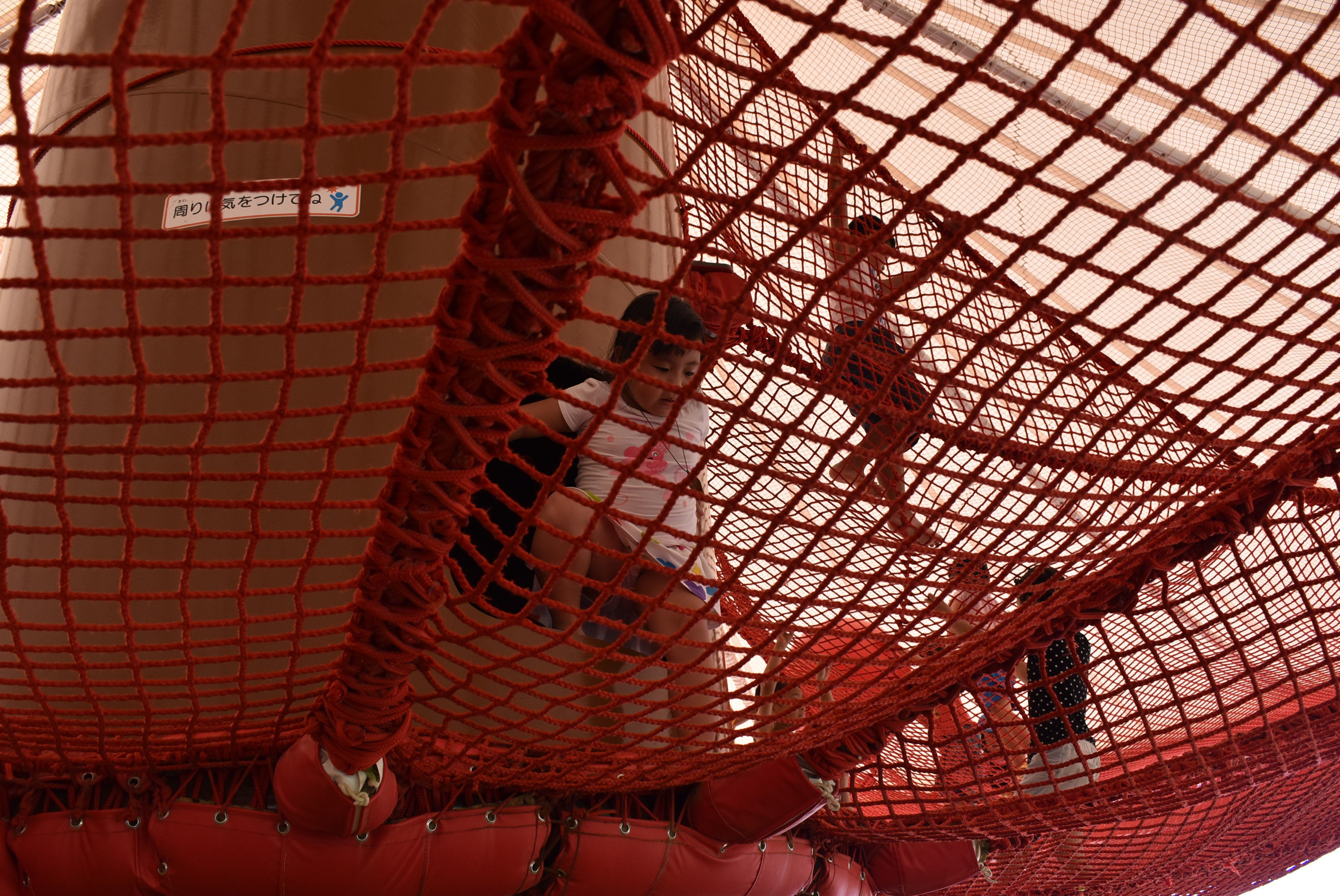 DSC_0423.JPG DSC_0423.JPG