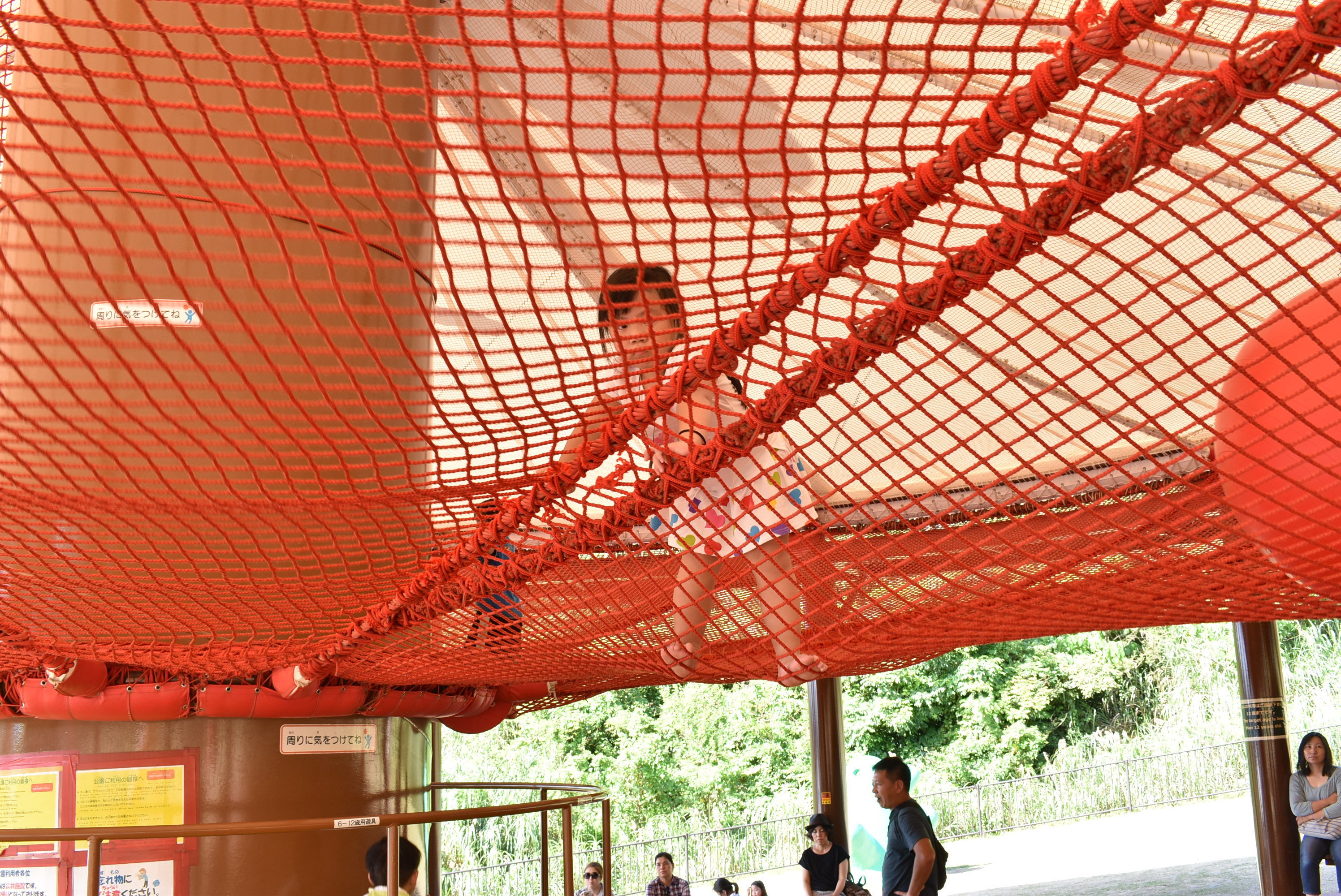 DSC_0429.JPG DSC_0429.JPG