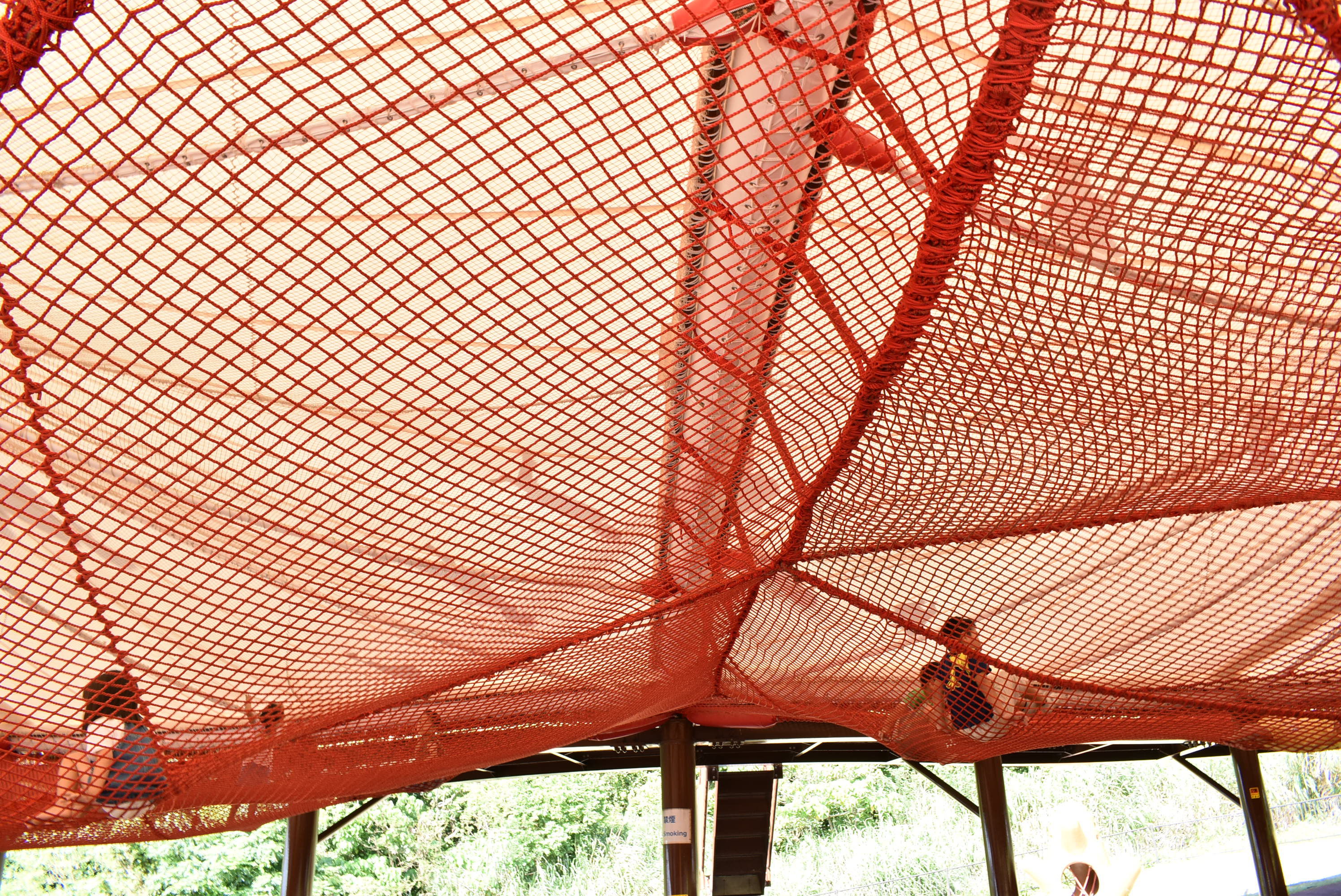 DSC_0434.JPG DSC_0434.JPG