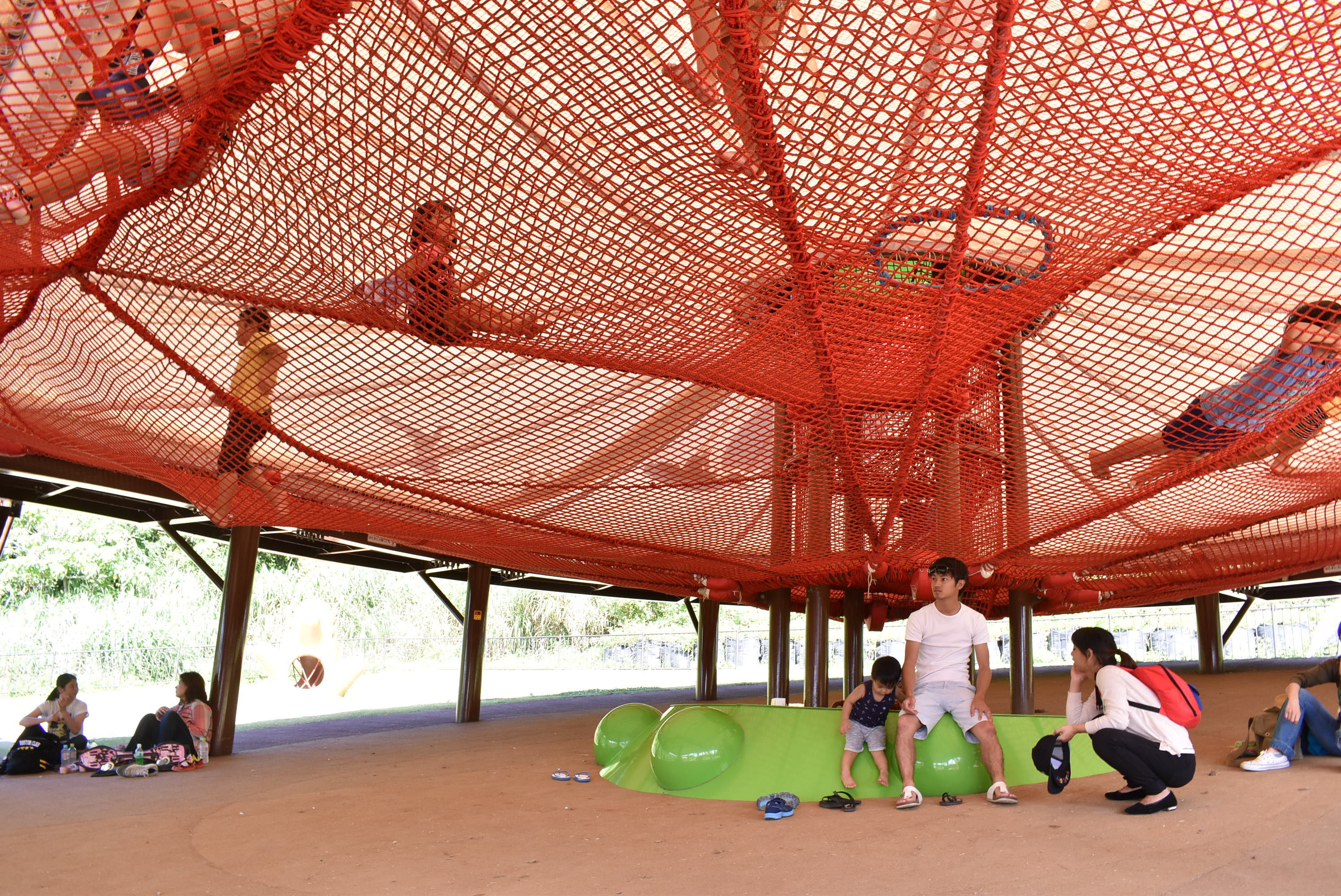 DSC_0435.JPG DSC_0435.JPG