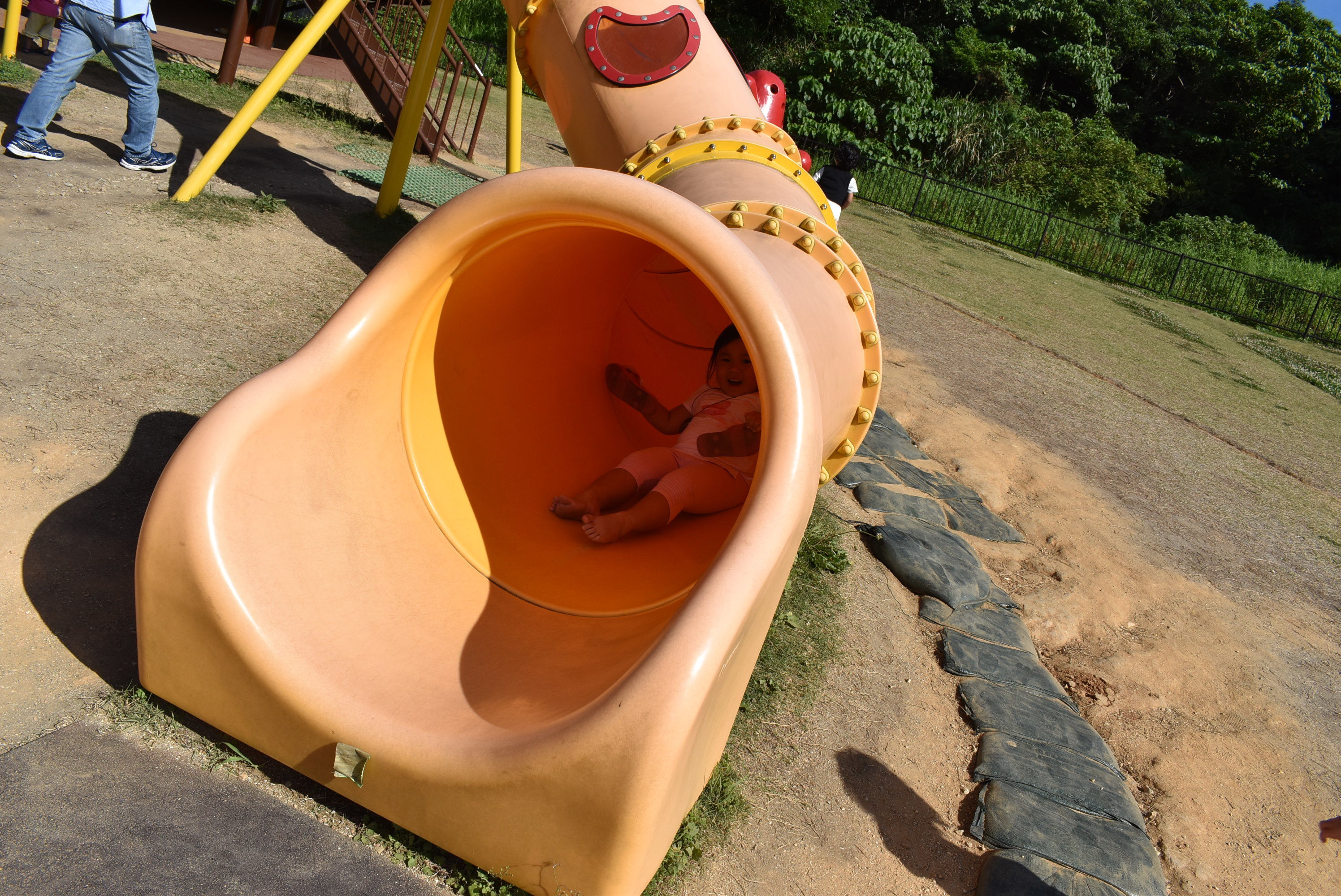 DSC_0447.JPG DSC_0447.JPG