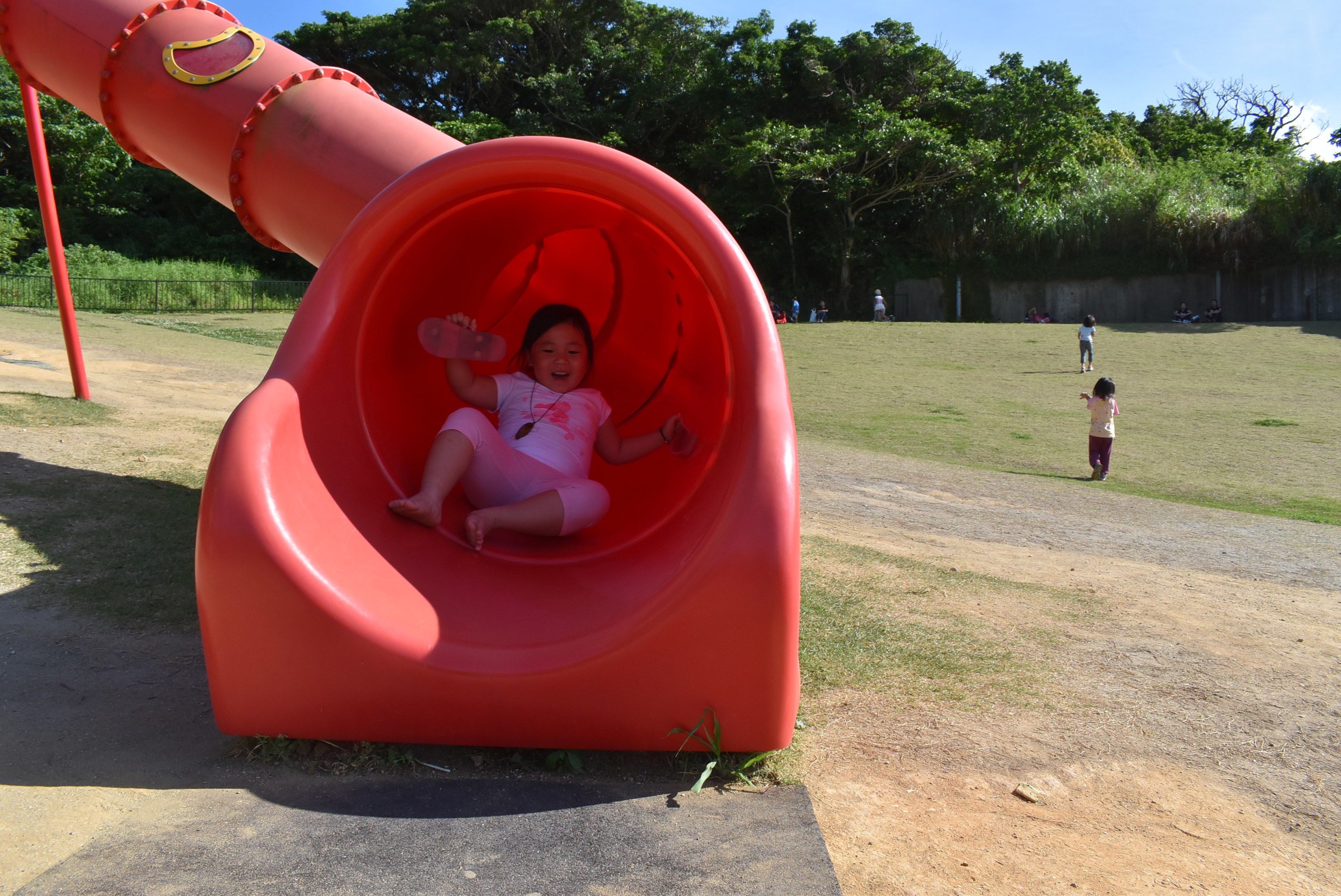 DSC_0452.JPG DSC_0452.JPG