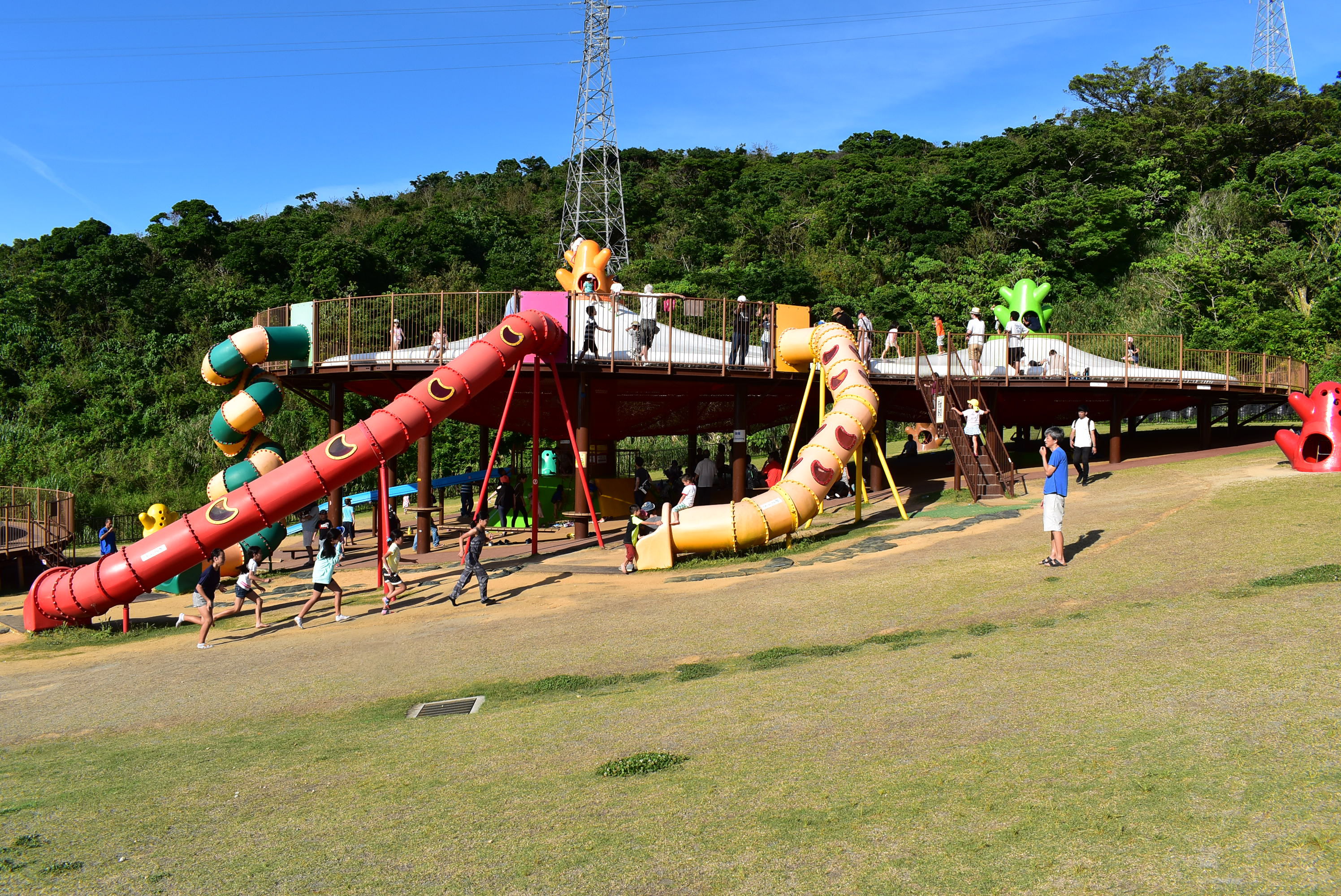 DSC_0475.JPG DSC_0475.JPG