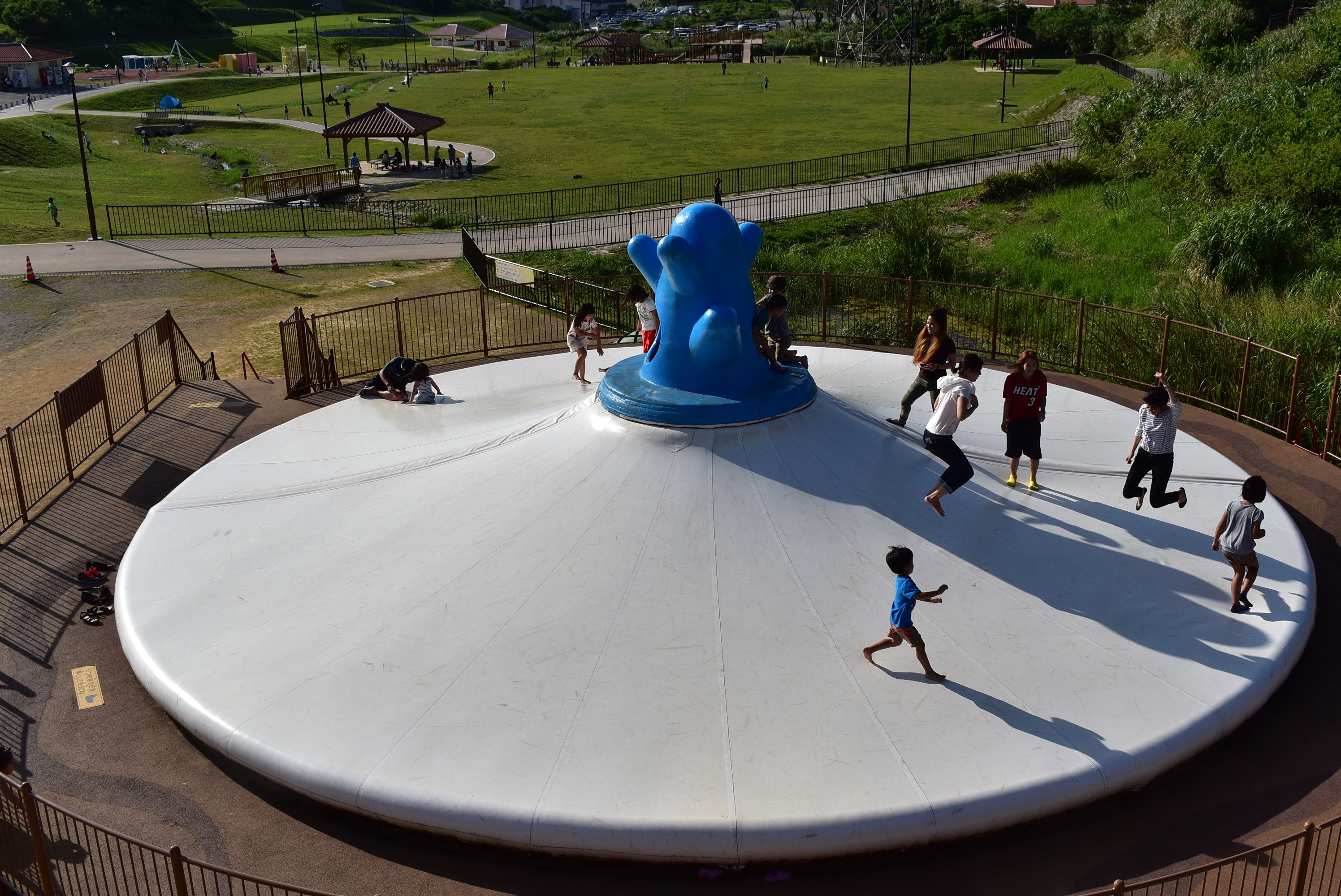 DSC_0484.JPG DSC_0484.JPG