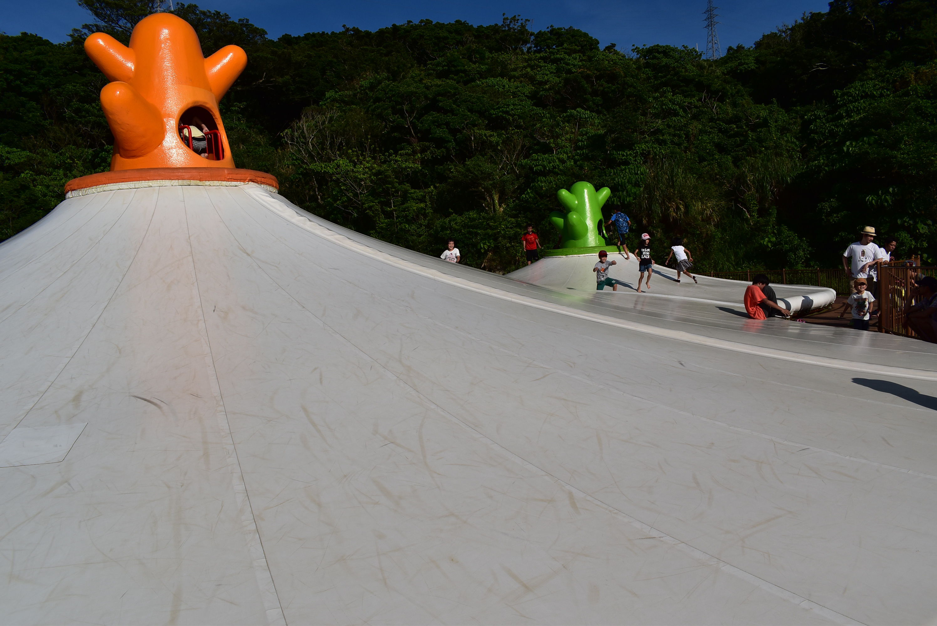 DSC_0488.JPG DSC_0488.JPG